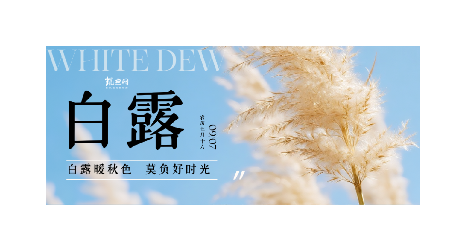 今日白露丨白露暖秋色 莫负好时光