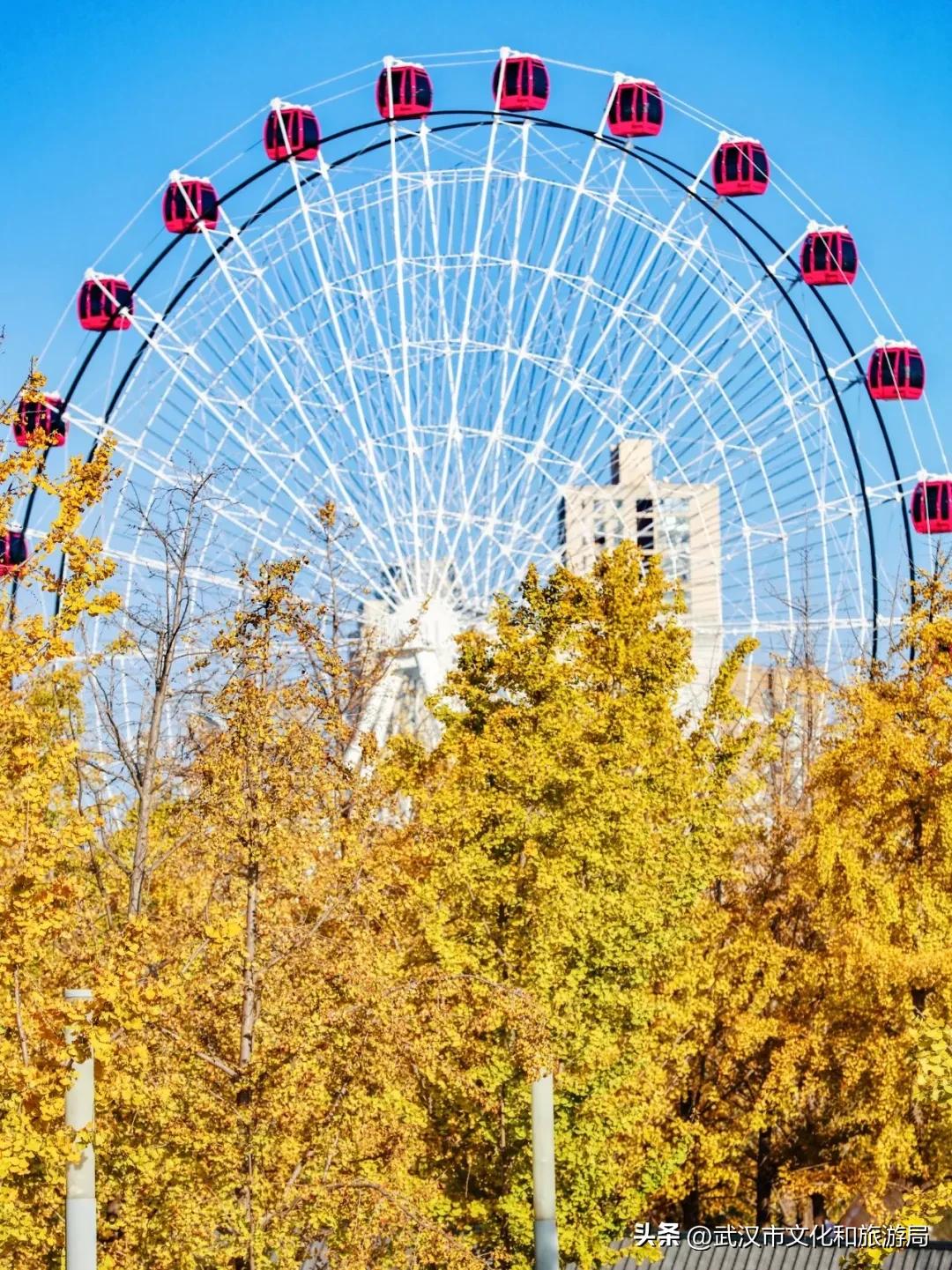 明日上新！园博新地标，浪漫新高度