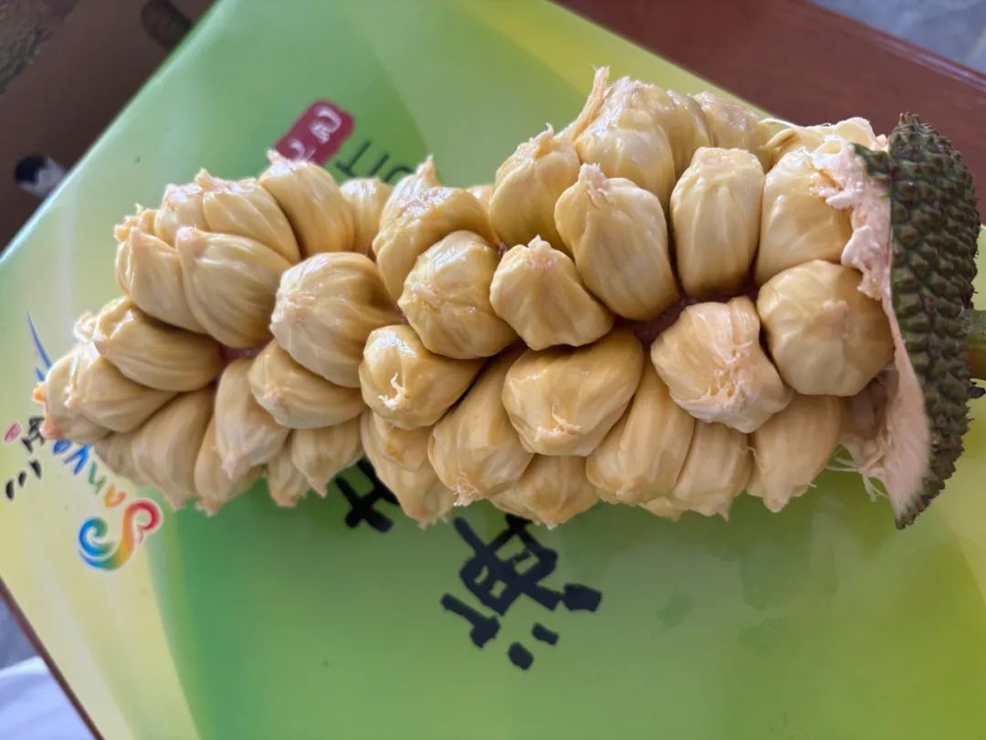 外形似菠萝蜜，味道像榴莲！三亚“奶白”榴莲蜜抢“鲜”上市