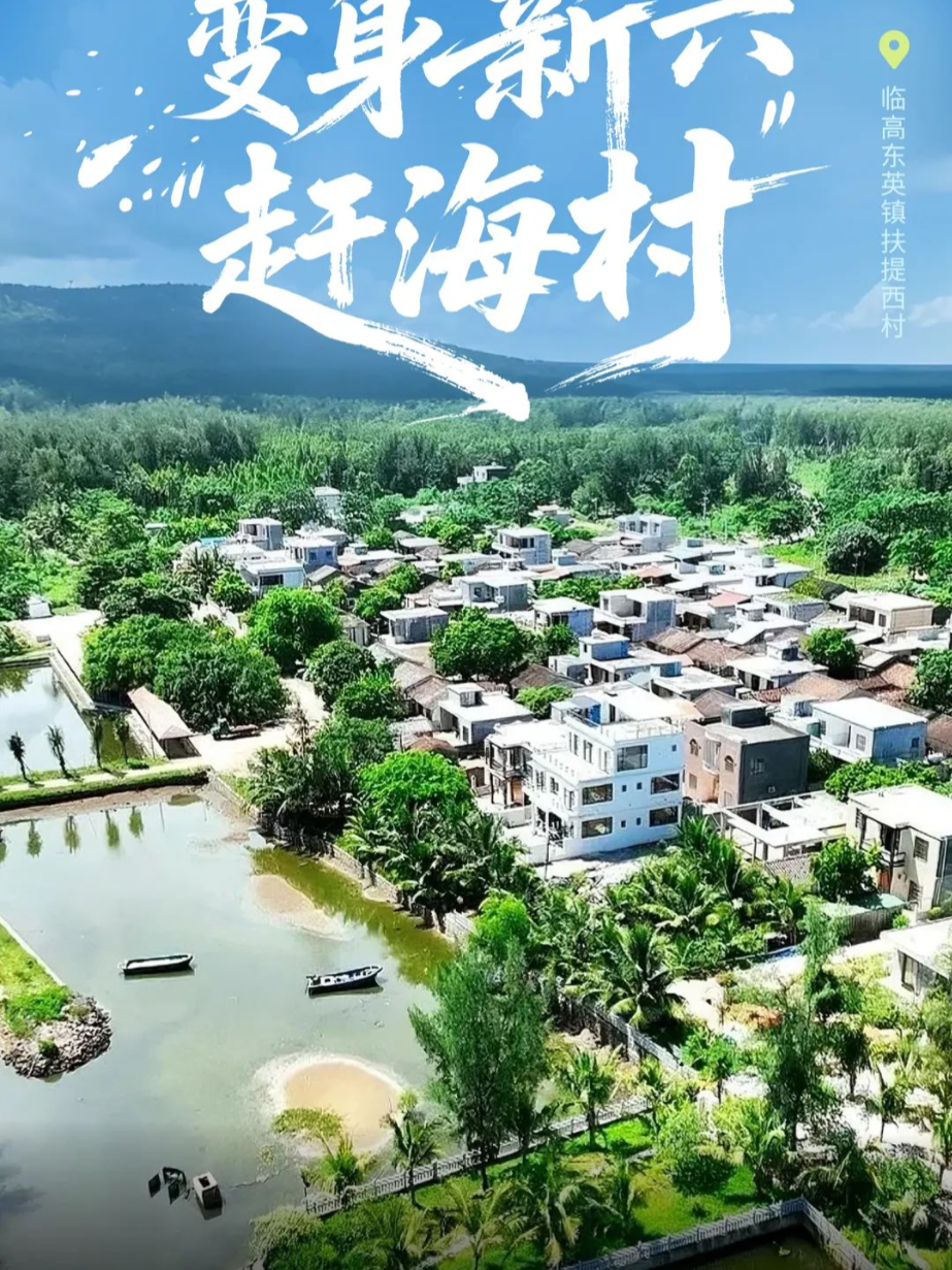 天选“赶海村”！临高这个小渔村值得打卡