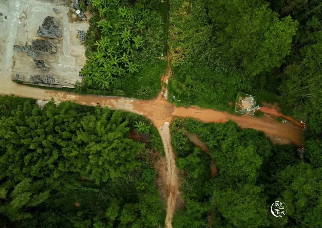 △俯拍萤火虫公园的道路