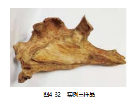 【连载】2024中国沉香产业发展报告第四章第三节 | 沉香的鉴定（21）