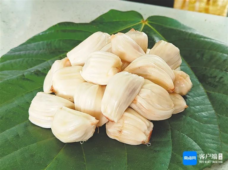 新品种“白玉苹果菠萝蜜”在琼海试种成功
