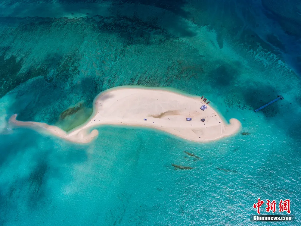 人这一辈子，一定要去一趟海南看海玩海