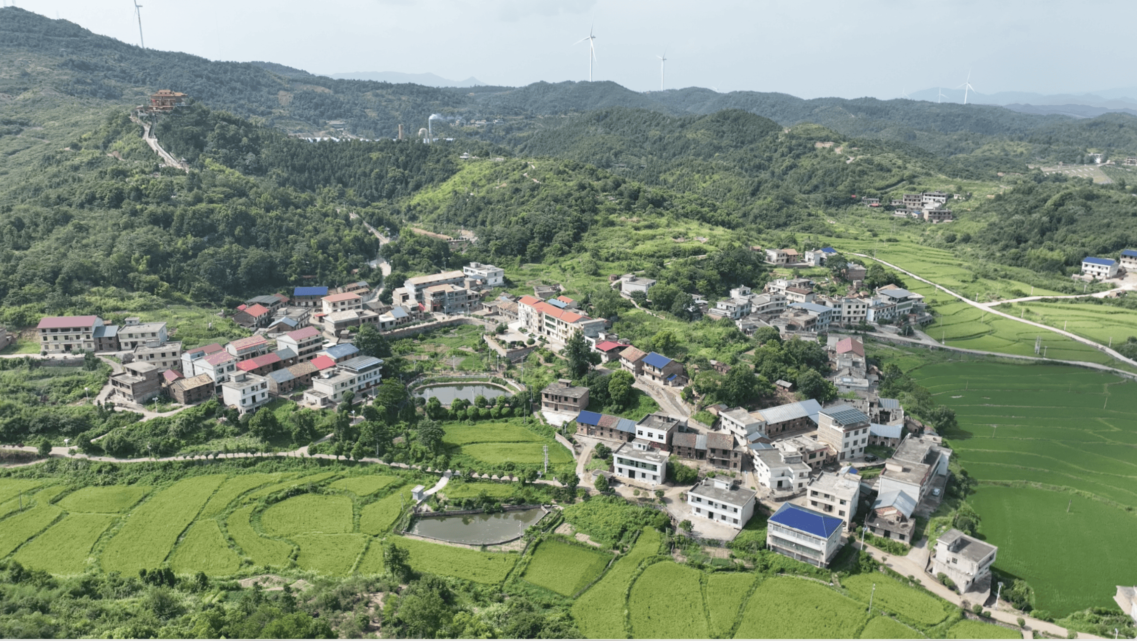郴州永兴樟树镇湖塘村：“老湾模式”引领乡村振兴，特优学子奖励大会见证教育力量
