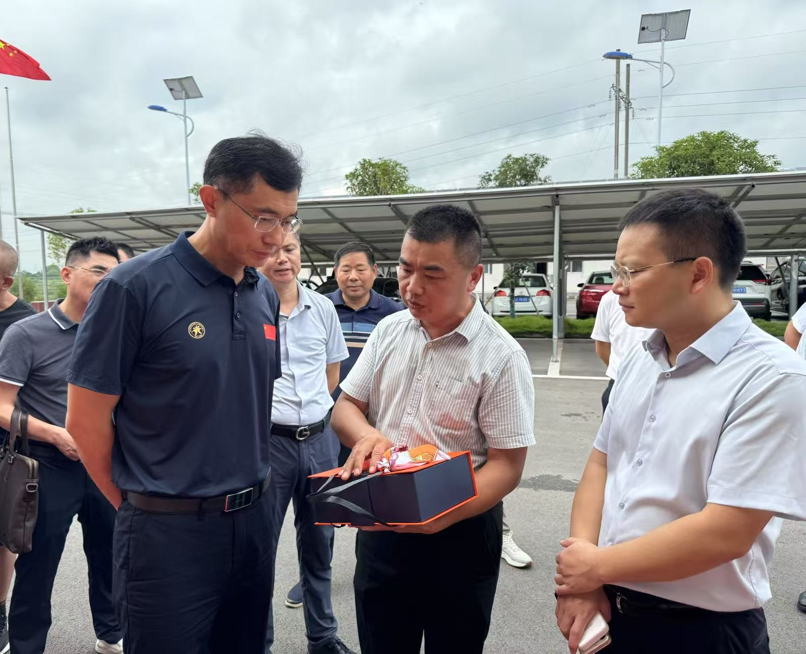 澧县加快发展艾草产业 打造乡村产业振兴亮点