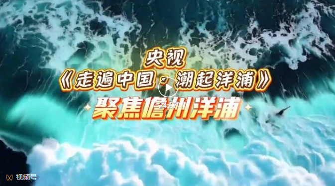 央视《走遍中国》栏目聚焦洋浦，探访海南自贸港“样板间”