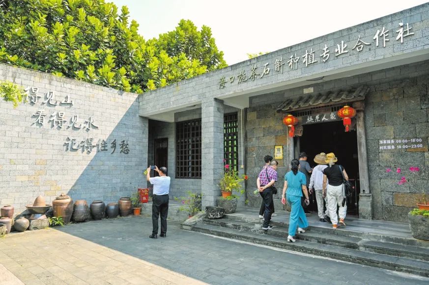 海口施茶村：装满乡愁记忆 赋能乡村振兴