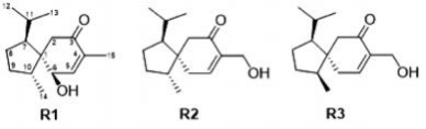 【连载】2024中国沉香产业发展报告第二章第二节 | 沉香的化学成分研究（6）