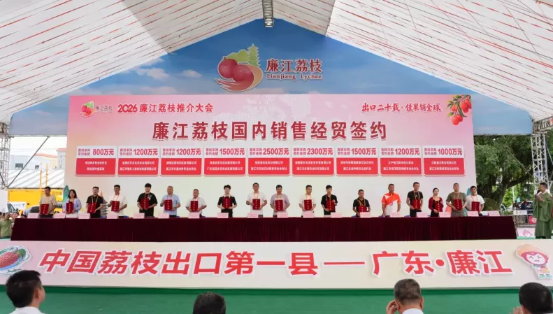 廉江荔枝出口20周年：签约超3亿元 全国每5颗出口荔枝有1颗姓“廉”(图1)