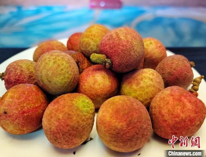 今年荔枝同比减产或将超四成 专家：量少价会涨