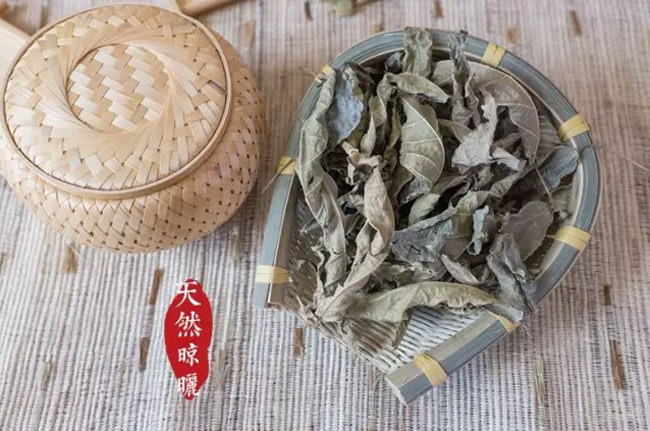 天然晾晒的鹧鸪茶叶