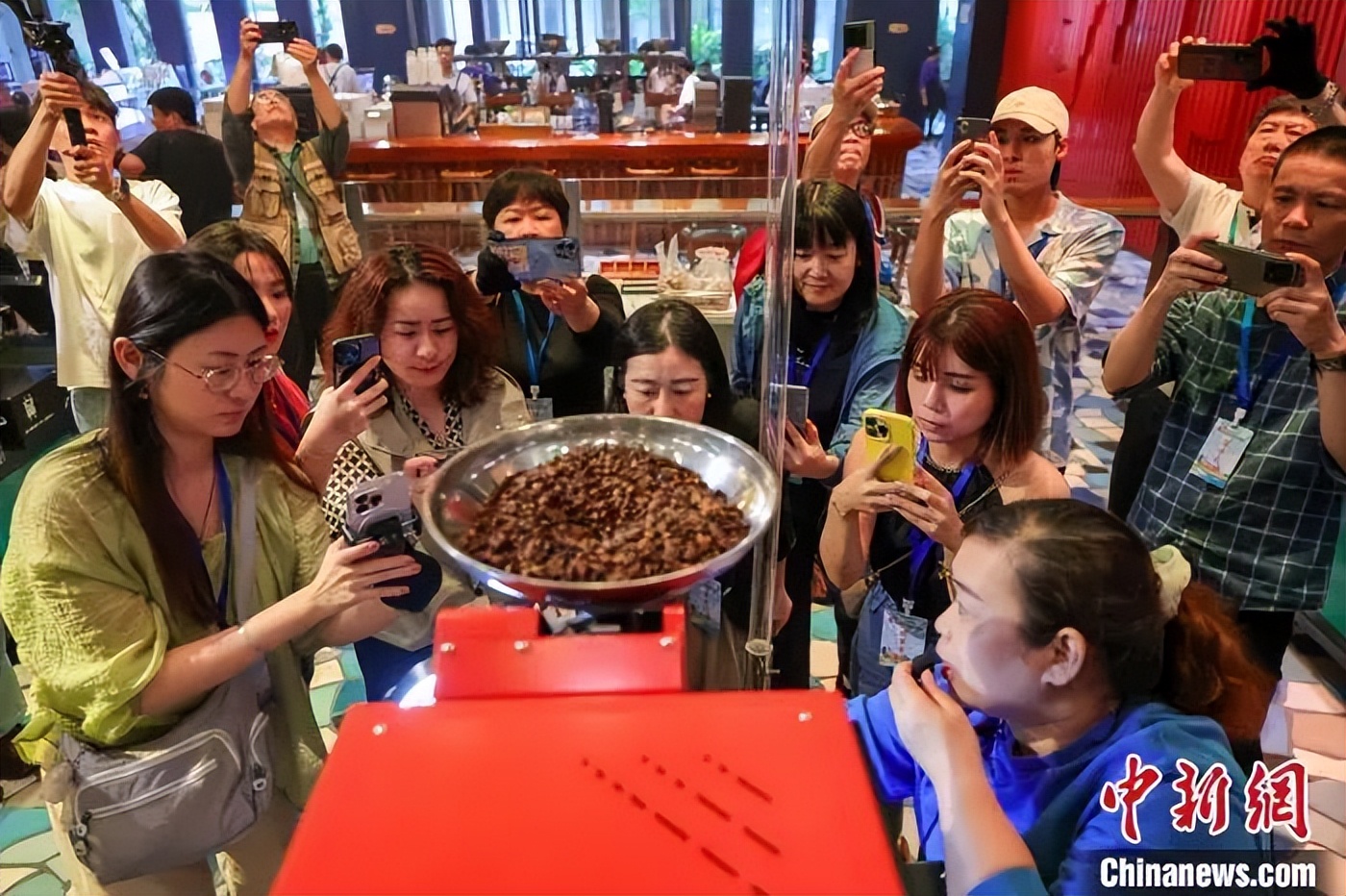 侨见海南自贸港：咖啡产业“玩”出老少皆宜新花样
