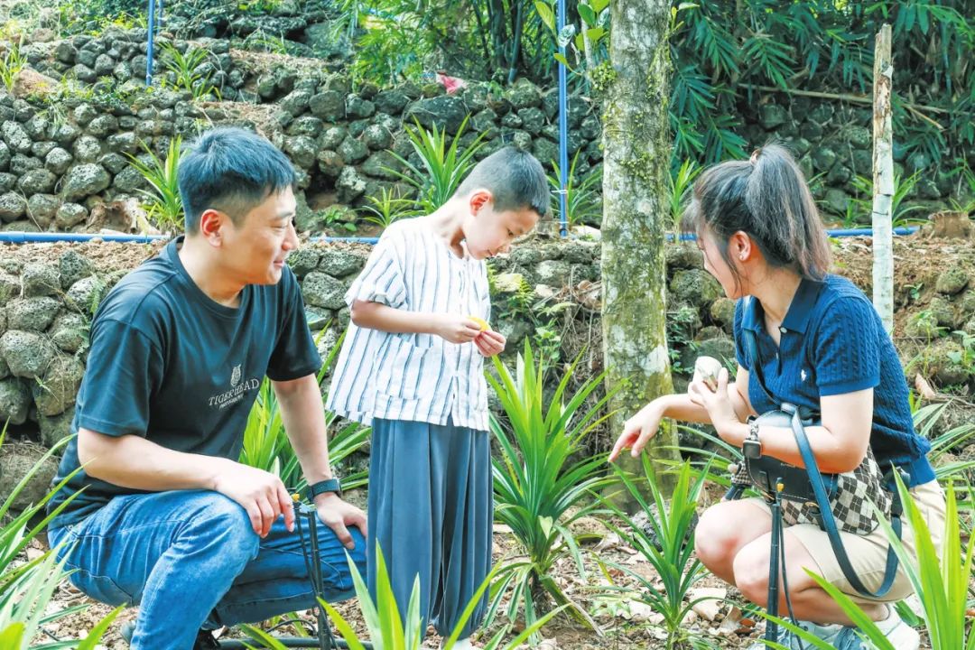 这“金饭碗”，海口端上了！