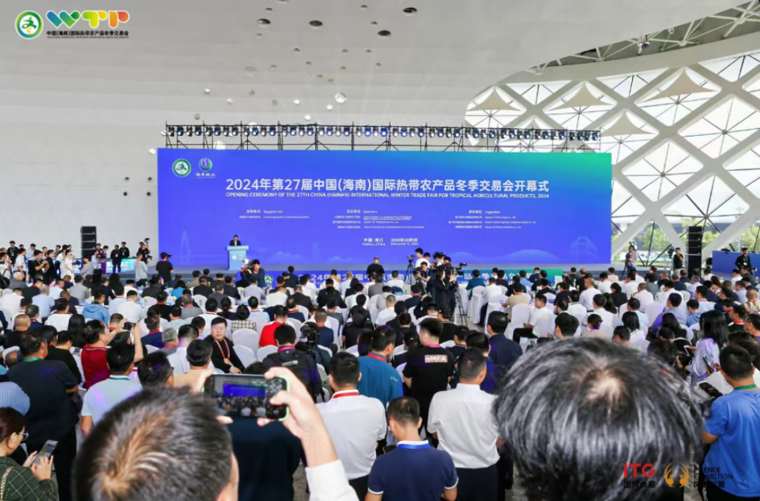 2024海南冬交会盛大开幕