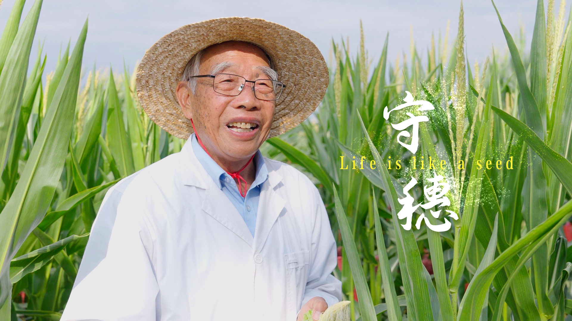 新春走基层 | 玉米专家程相文在海南的第58个春节
