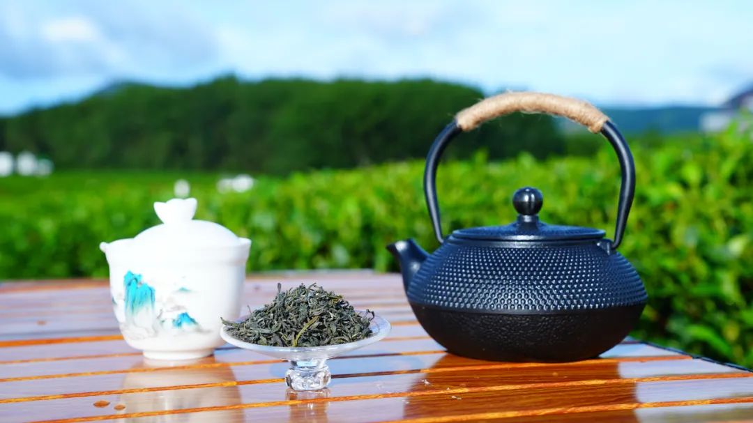 白沙：“绿心”焕新，生态红利催生致富新景